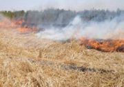 مهار آتش سوزی در مزارع شهرستان ایوان