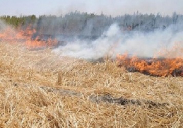 مهار آتش سوزی در مزارع شهرستان ایوان